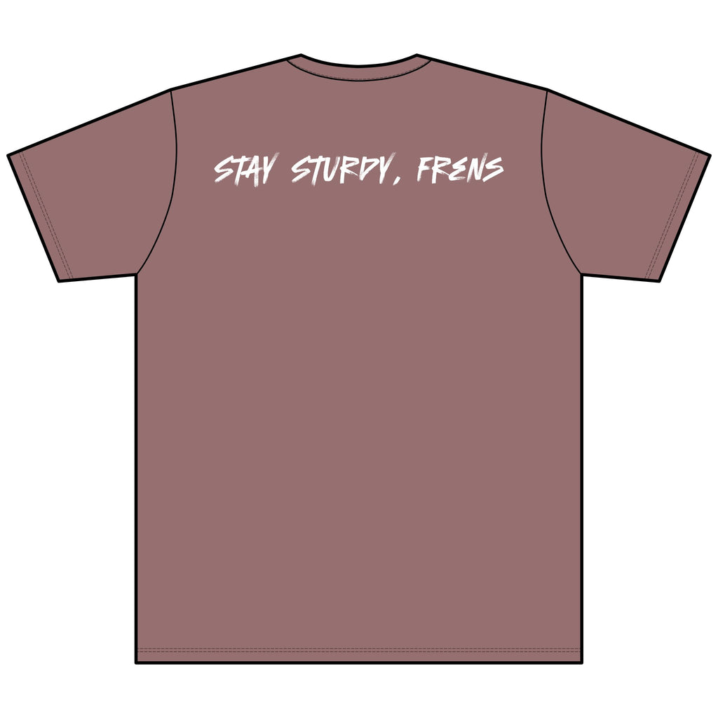 Stay Sturdy, Frens Crest Heather V-Neck Tee