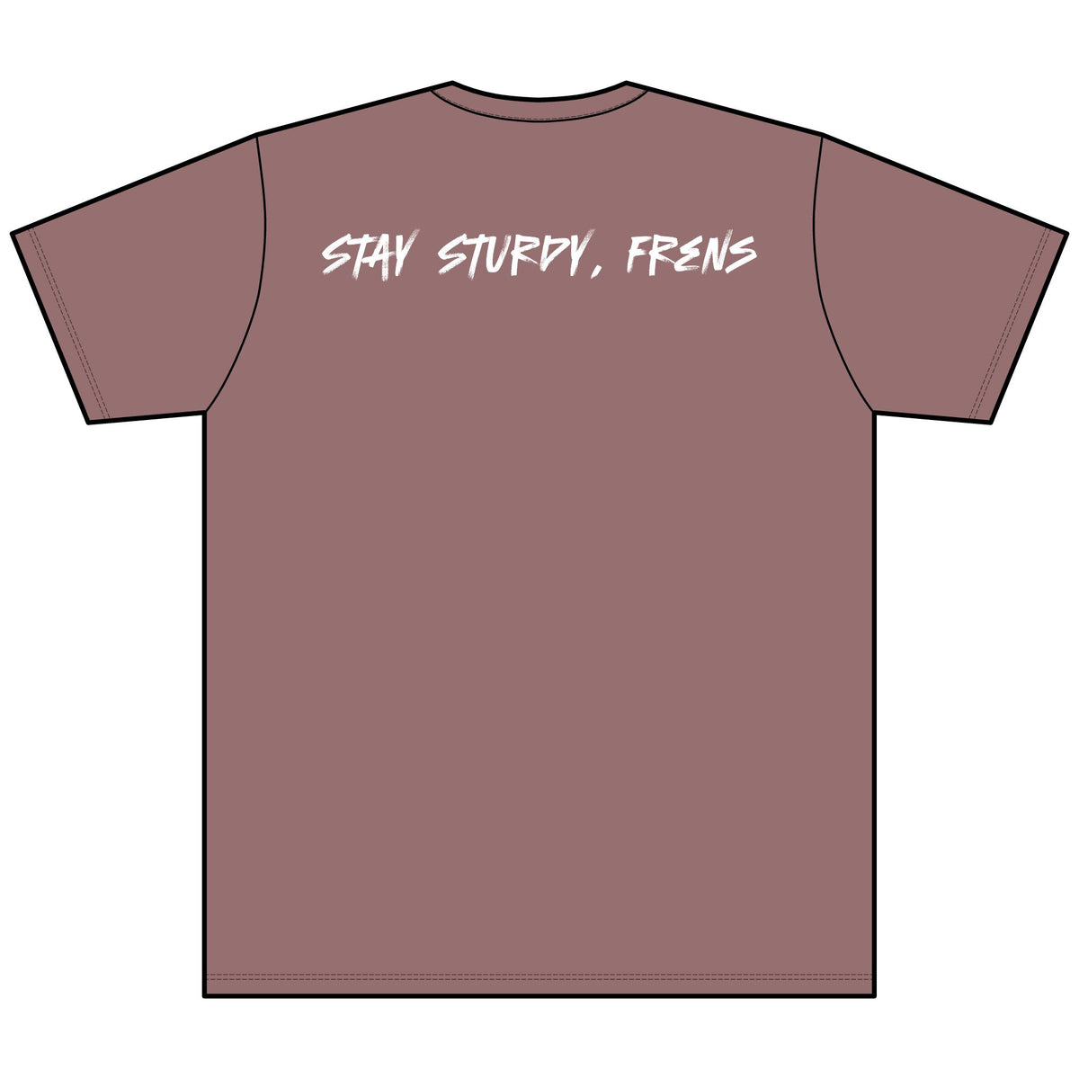 Stay Sturdy, Frens Crest Heather V-Neck Tee