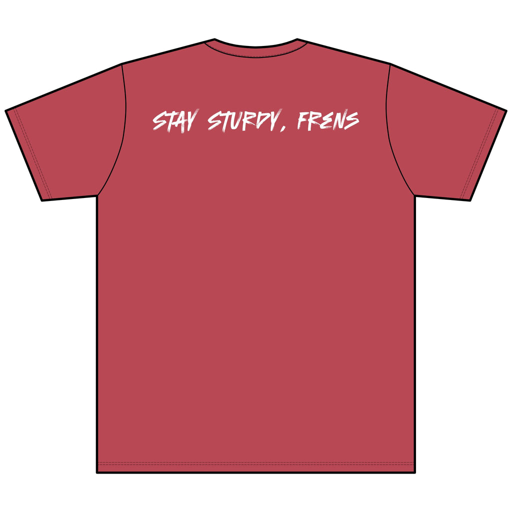 Stay Sturdy, Frens Crest Heather V-Neck Tee
