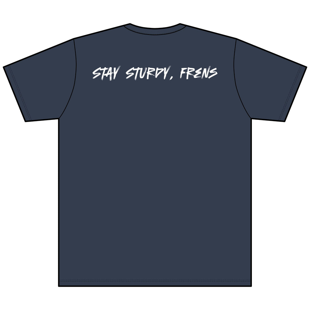 Stay Sturdy, Frens Crest Heather V-Neck Tee