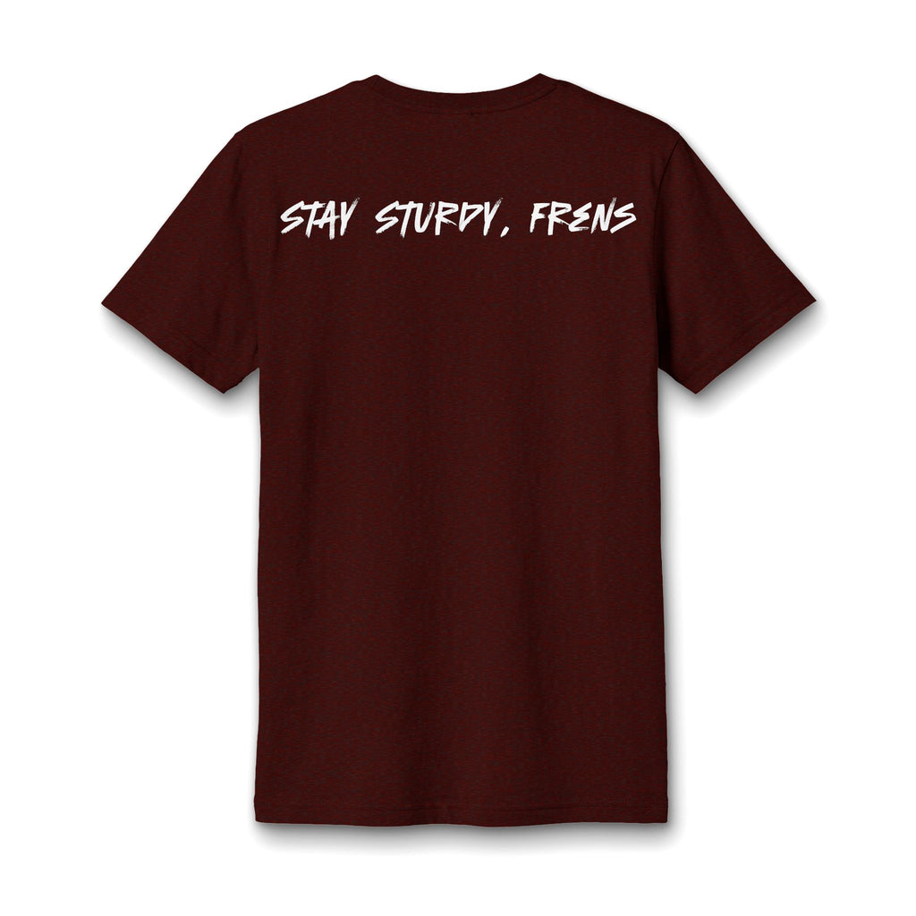Stay Sturdy, Frens Crest Heather V-Neck Tee