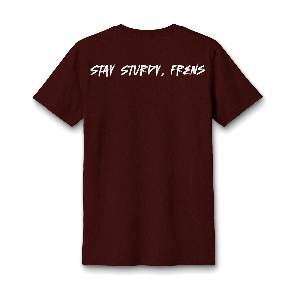 Stay Sturdy, Frens Crest Heather V-Neck Tee