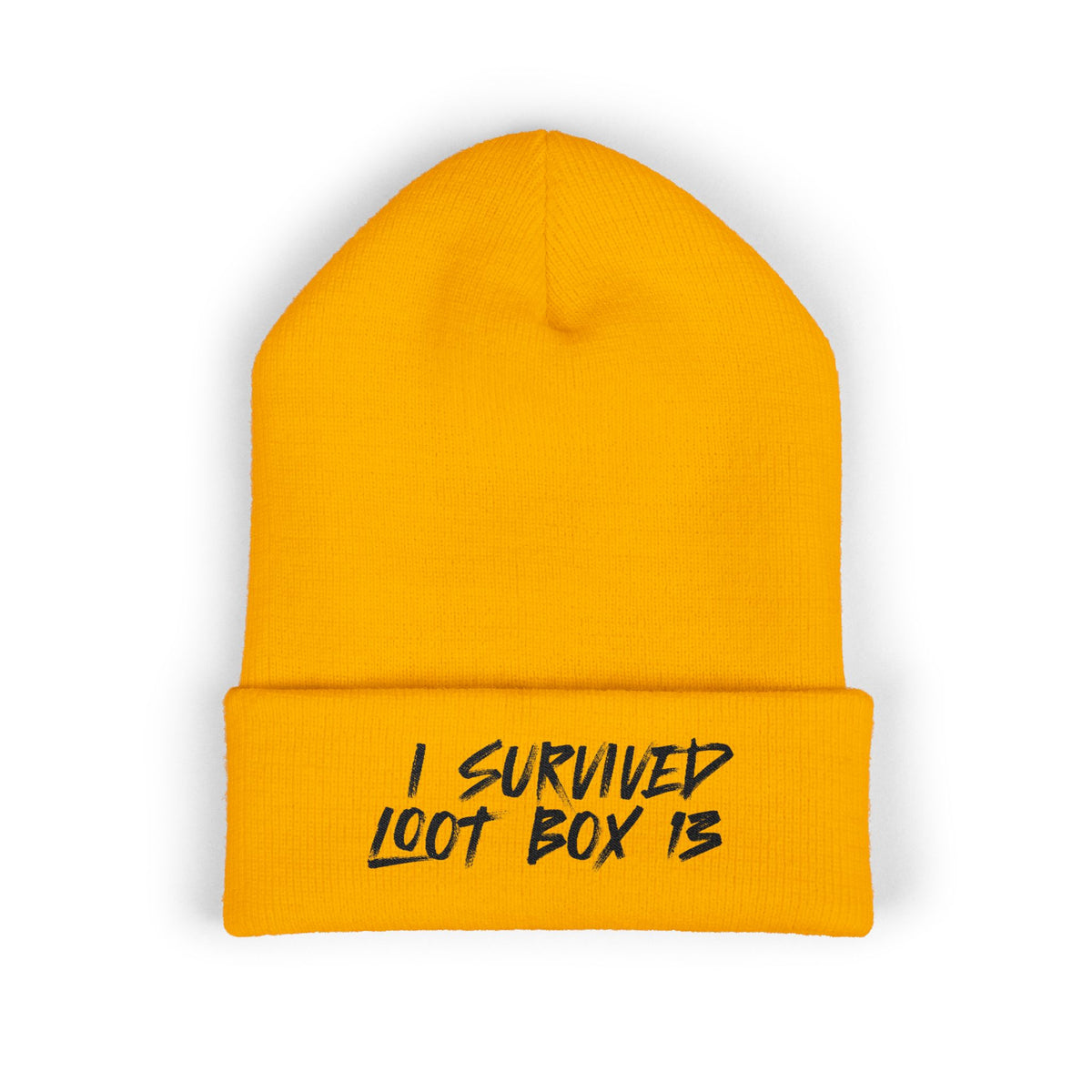 I Survived Loot Box 13 Embroidered Beanie