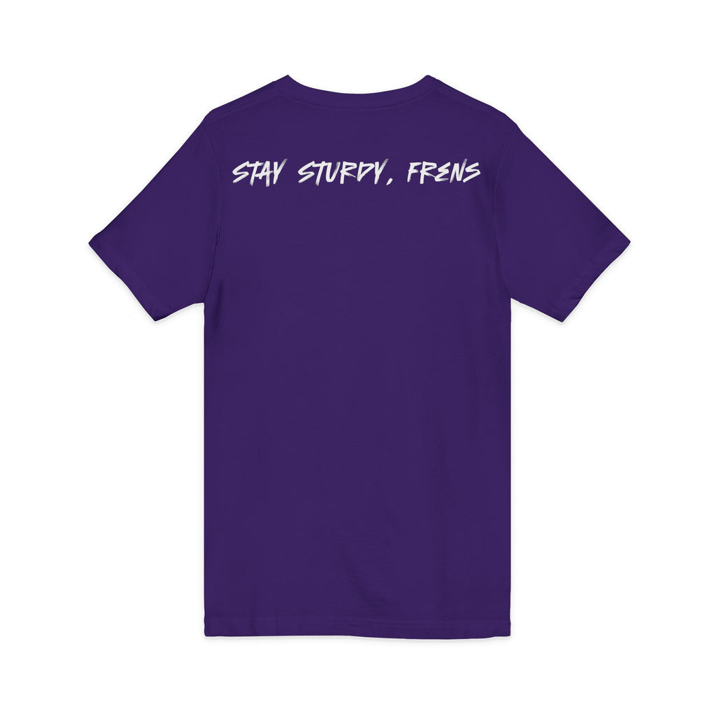 Stay Sturdy, Frens Crest V-Neck Tee