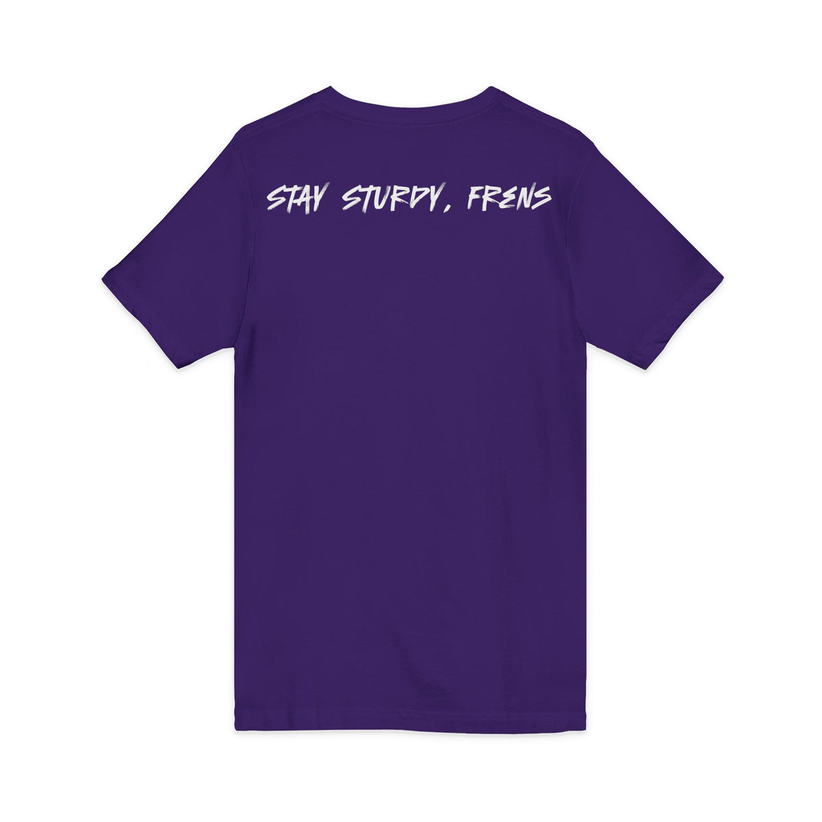 Stay Sturdy, Frens Crest V-Neck Tee