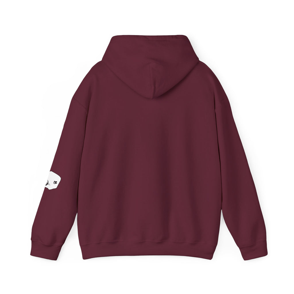 I Survived Loot Box 13 Hoodie