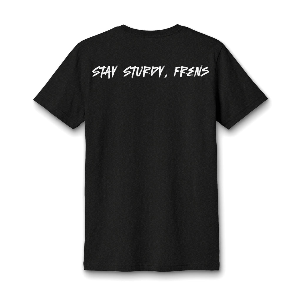 Stay Sturdy, Frens Crest Heather V-Neck Tee