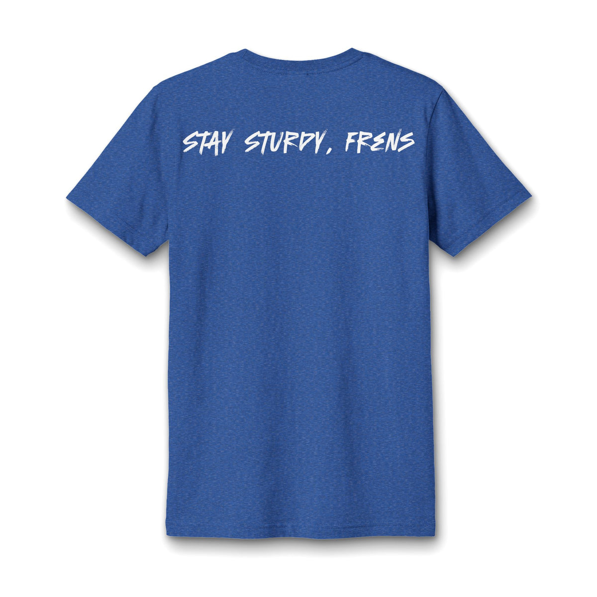 Stay Sturdy, Frens Crest Heather V-Neck Tee