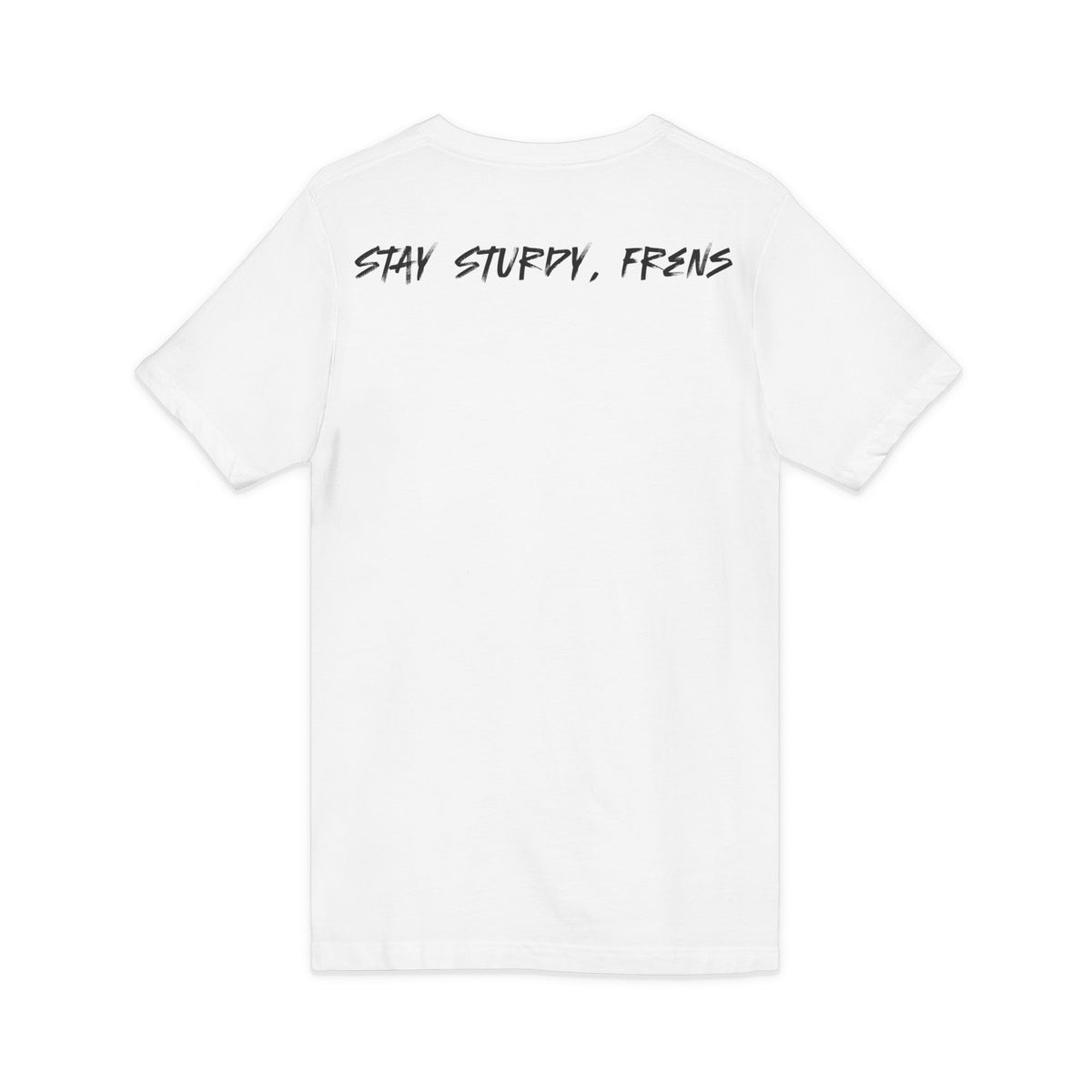 Stay Sturdy, Frens Crest V-Neck Tee