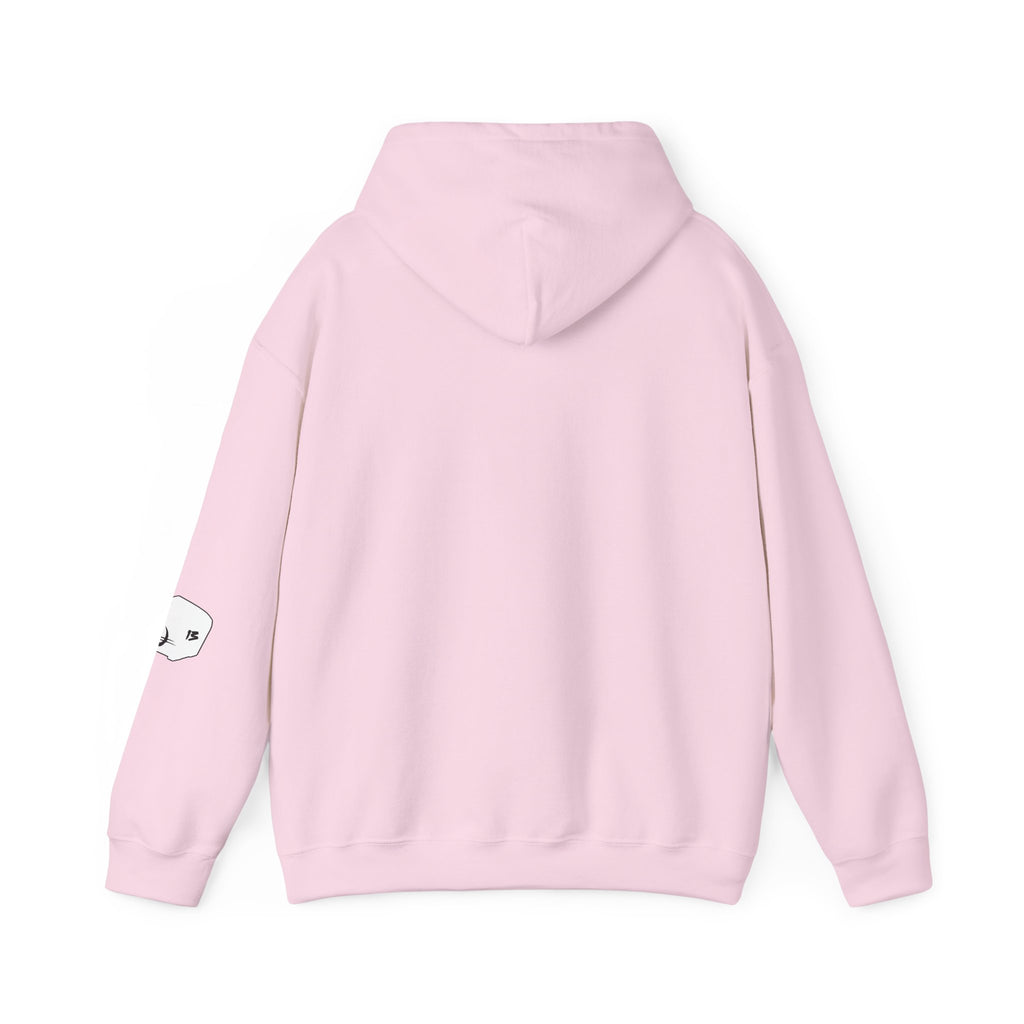 I Survived Loot Box 13 Hoodie