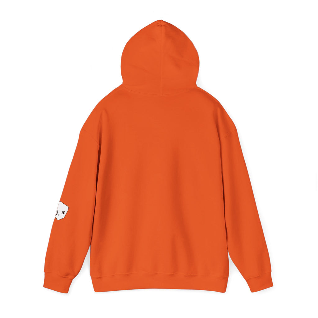 I Survived Loot Box 13 Hoodie - Colors