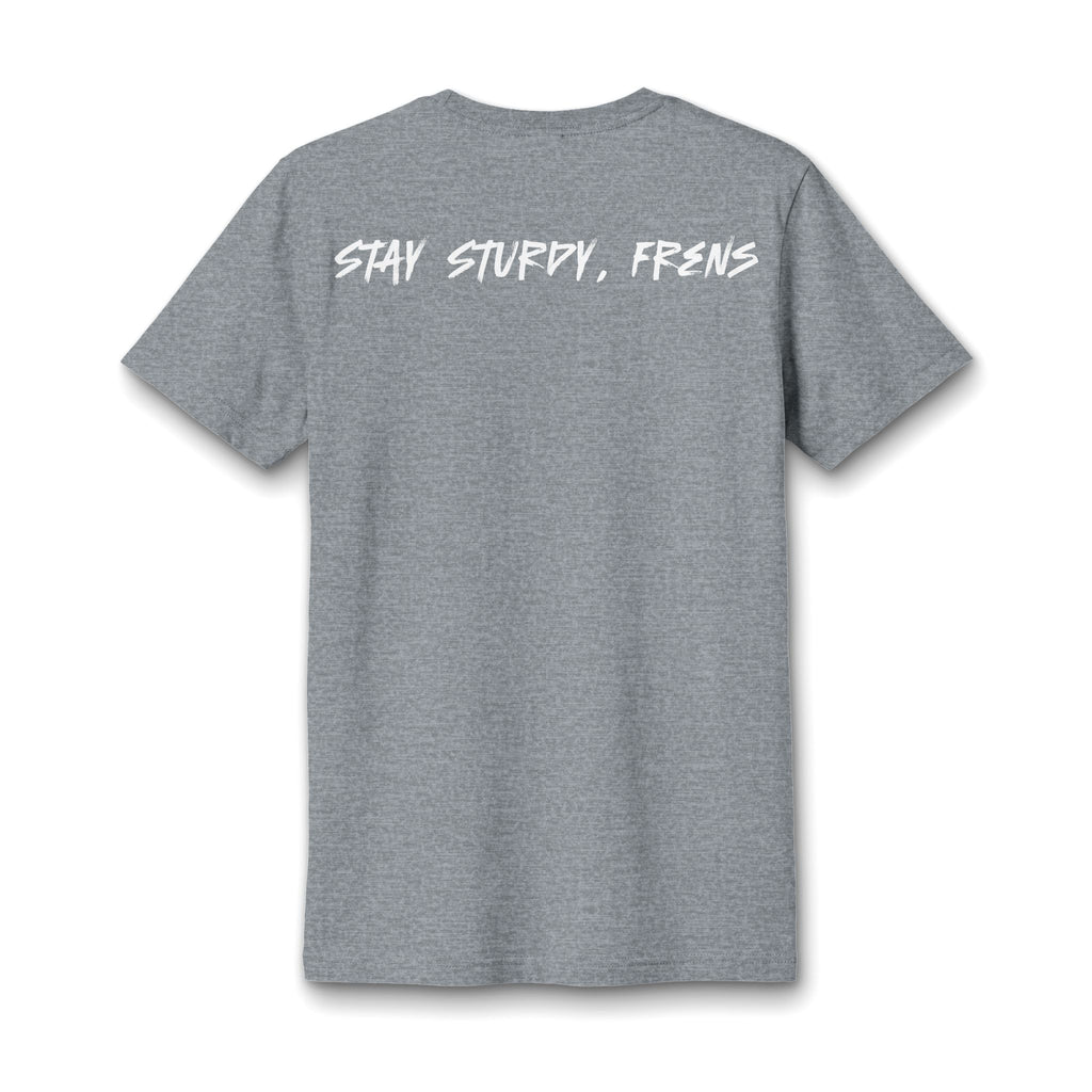 Stay Sturdy, Frens Crest Heather V-Neck Tee