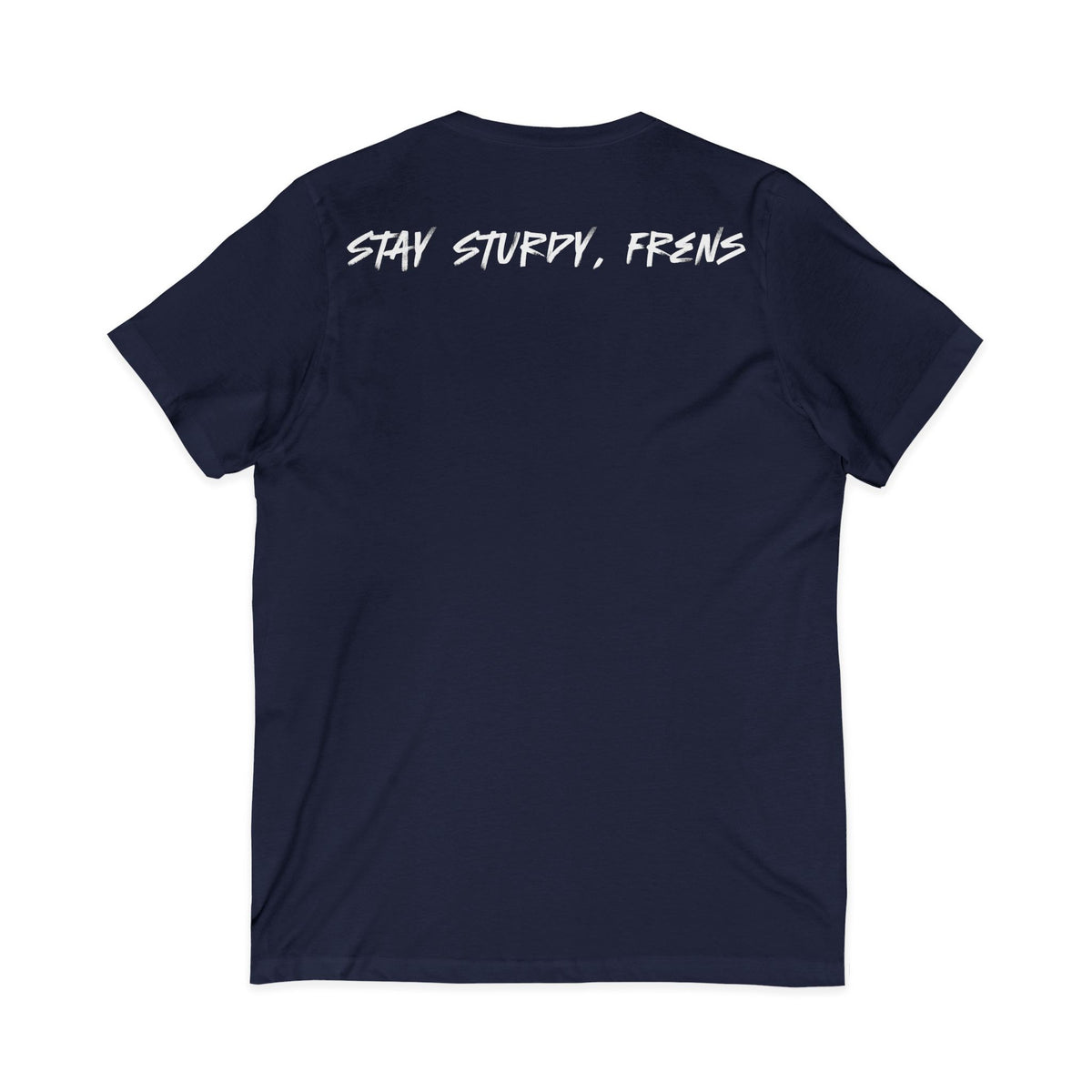 Stay Sturdy, Frens Crest V-Neck Tee