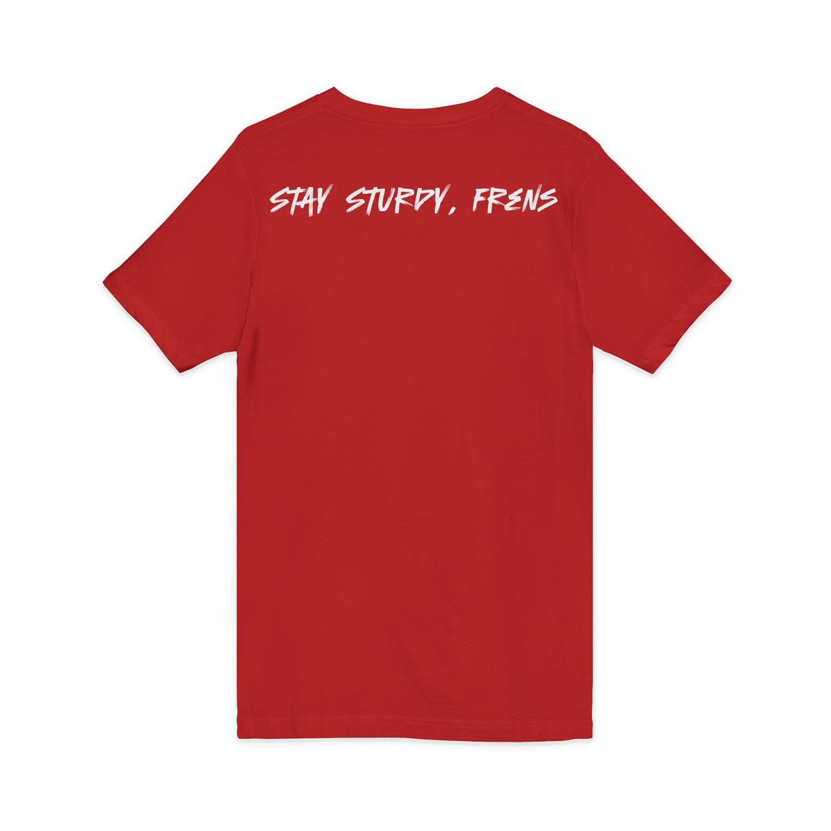 Stay Sturdy, Frens Crest V-Neck Tee
