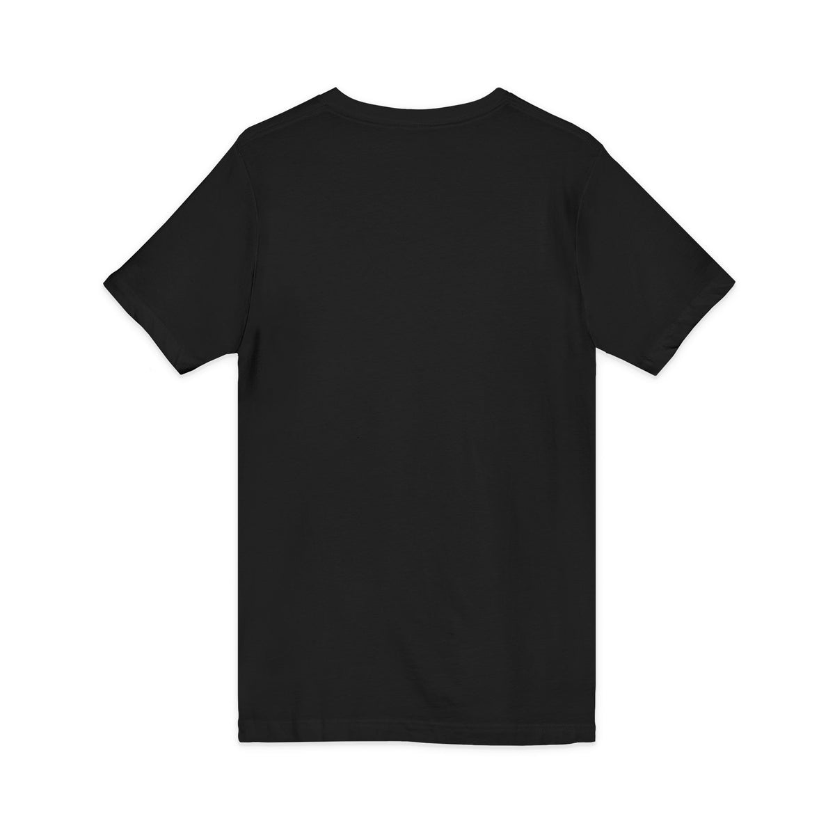 I Like My Ship Captains Morally Grey V-Neck Tee