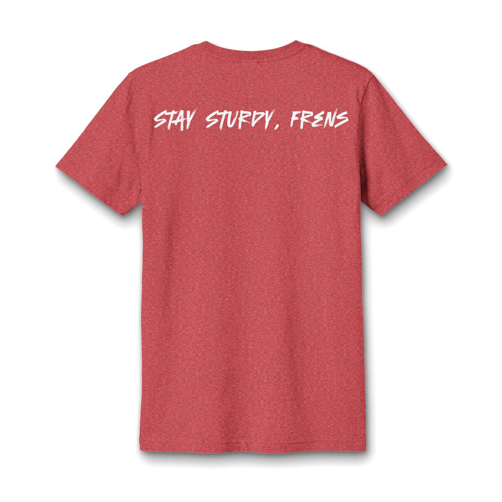 Stay Sturdy, Frens Crest Heather V-Neck Tee