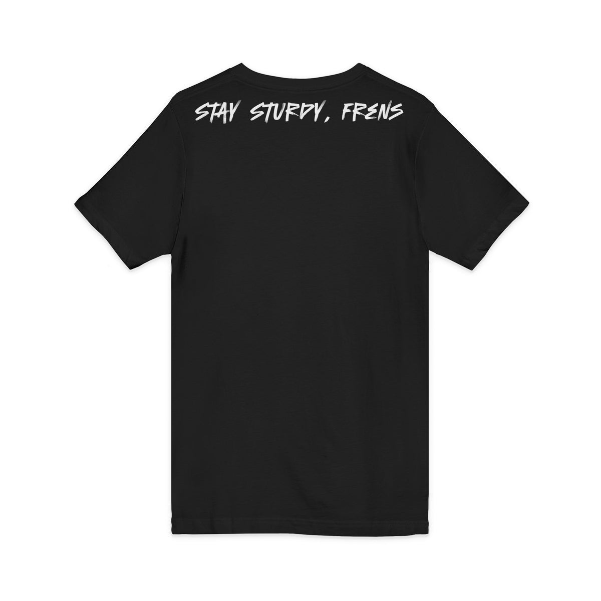 Stay Sturdy, Frens Crest V-Neck Tee