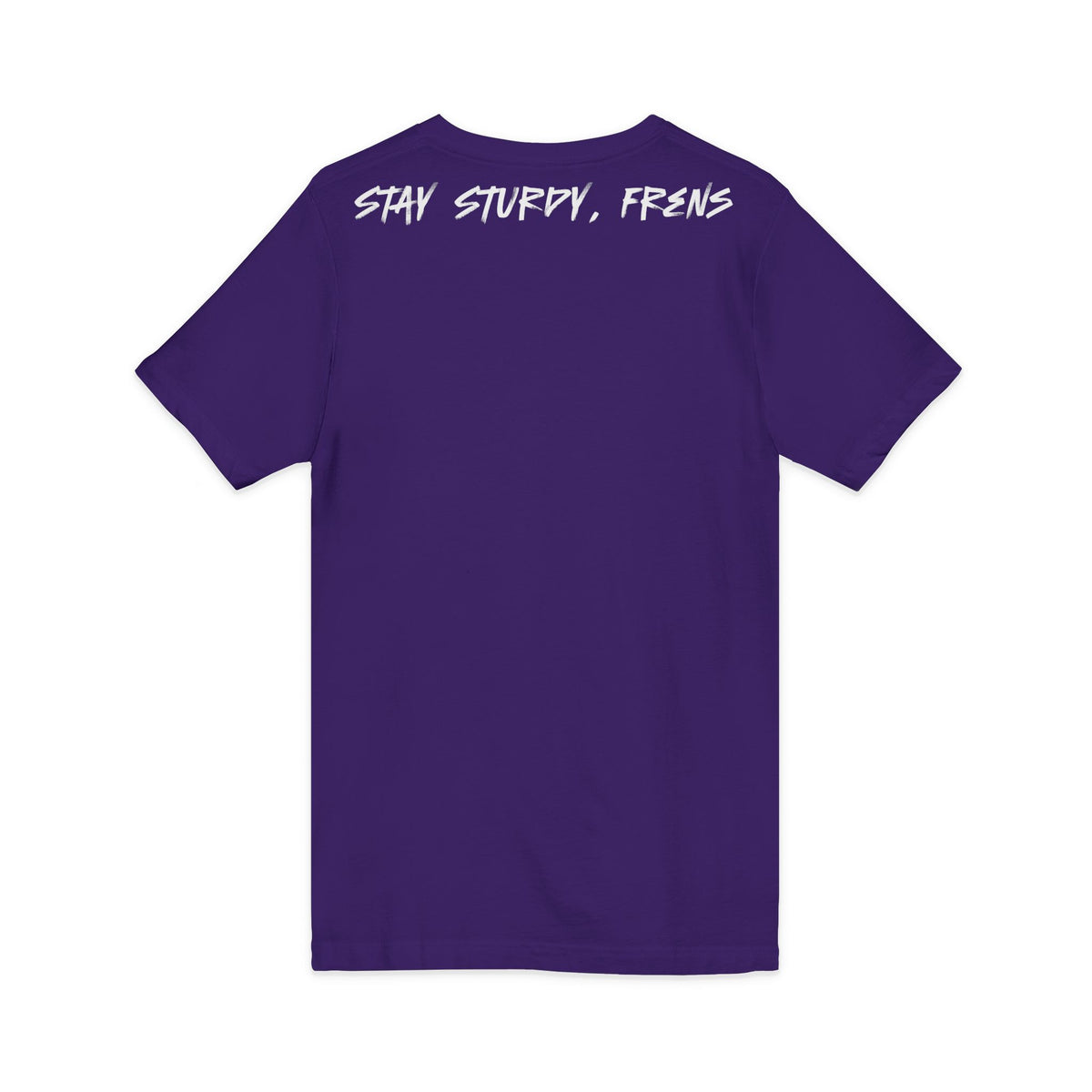 Stay Sturdy, Frens Crest V-Neck Tee