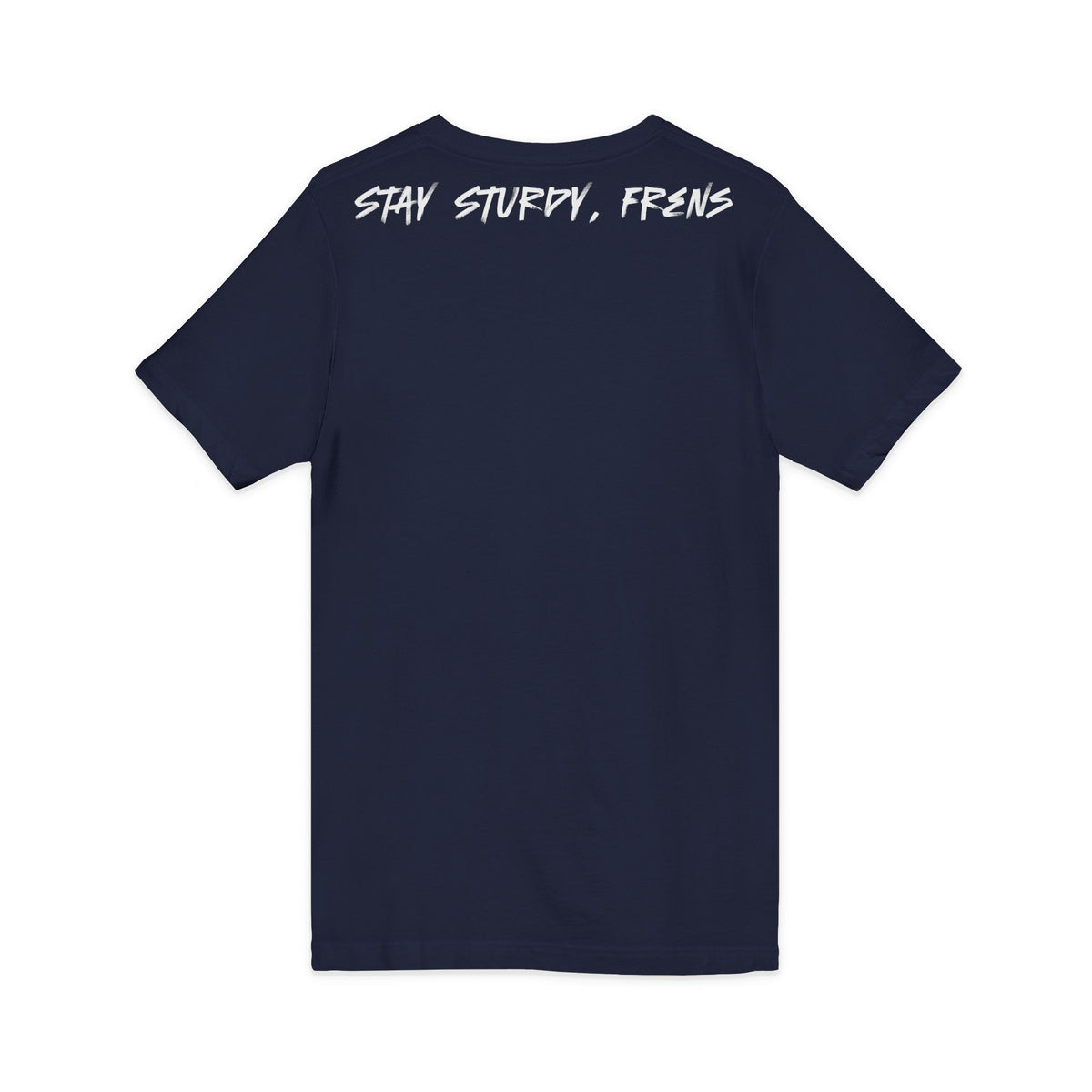 Stay Sturdy, Frens Crest V-Neck Tee