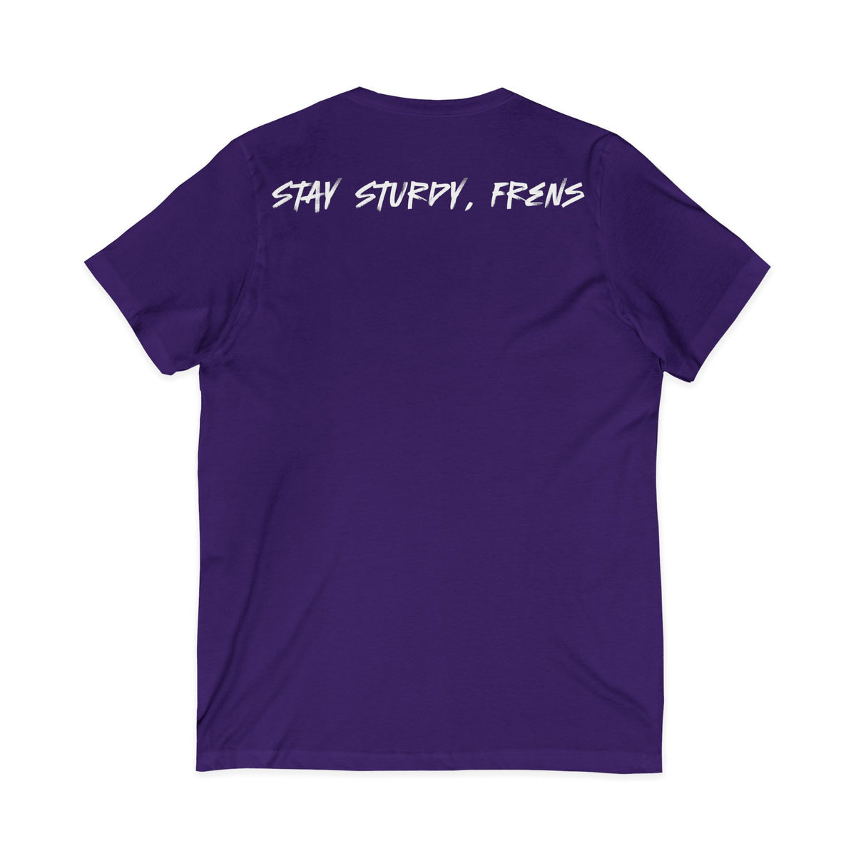 Stay Sturdy, Frens Crest V-Neck Tee