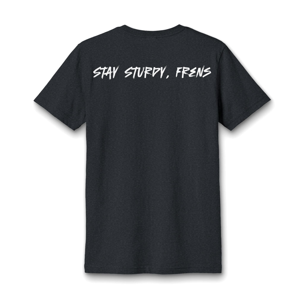 Stay Sturdy, Frens Crest Heather V-Neck Tee