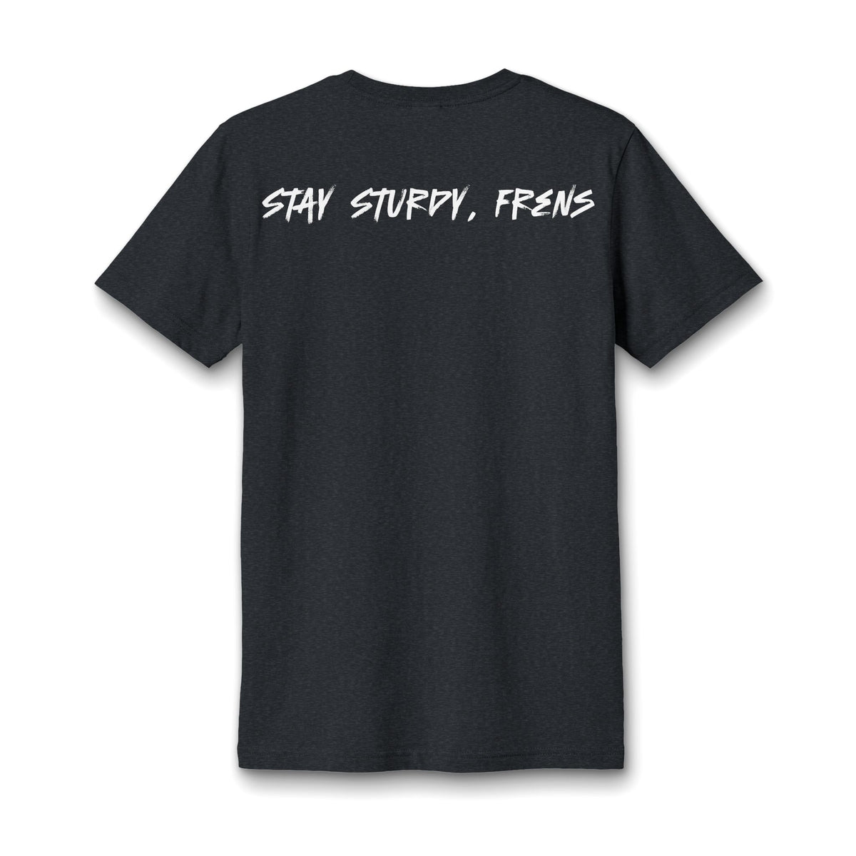 Stay Sturdy, Frens Crest Heather V-Neck Tee