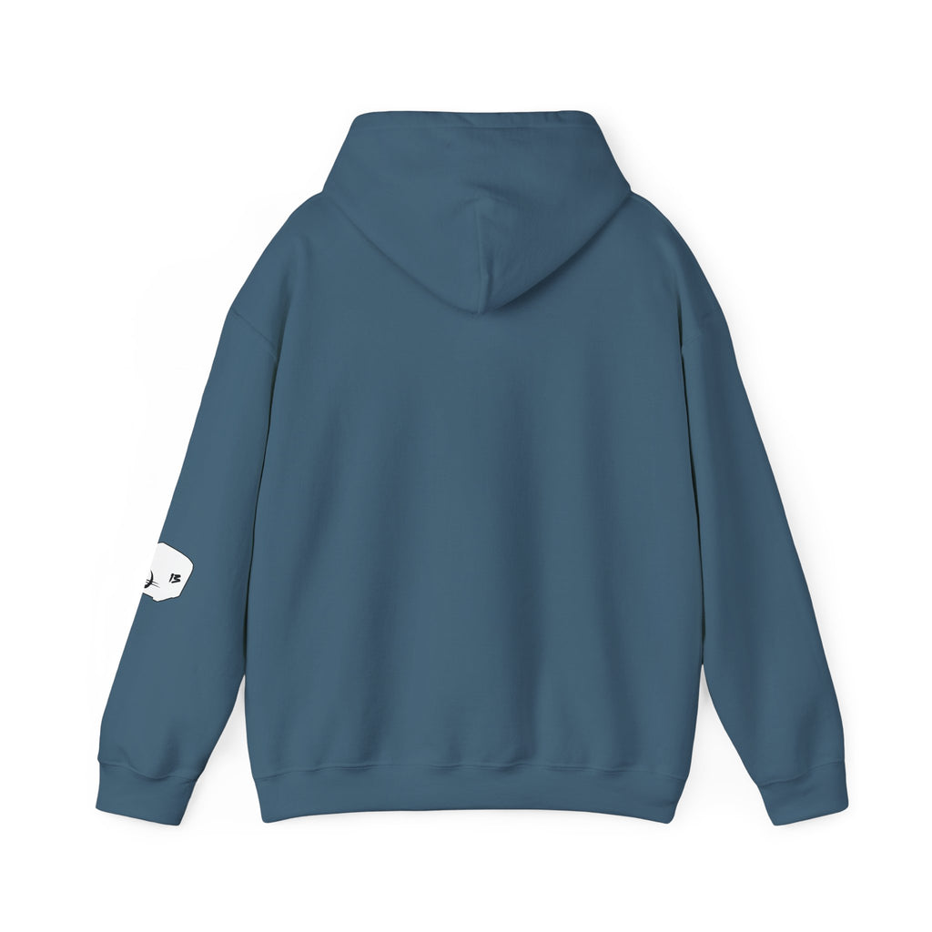 I Survived Loot Box 13 Hoodie - Colors