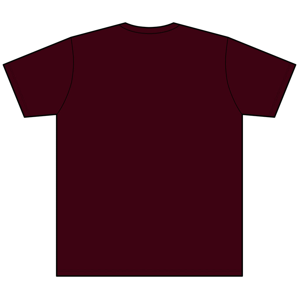 I Survived Loot Box 13 Heather V-Neck Tee