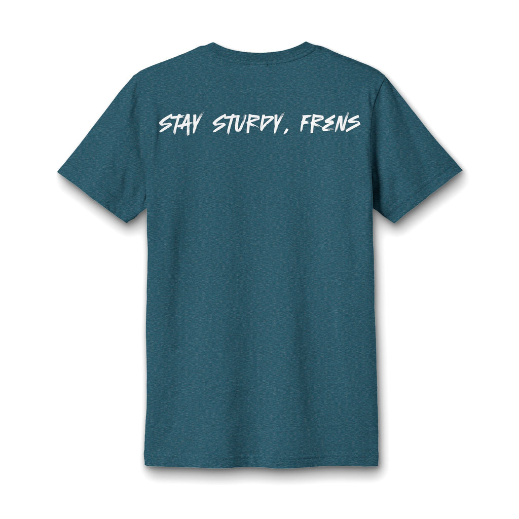Stay Sturdy, Frens Crest Heather V-Neck Tee