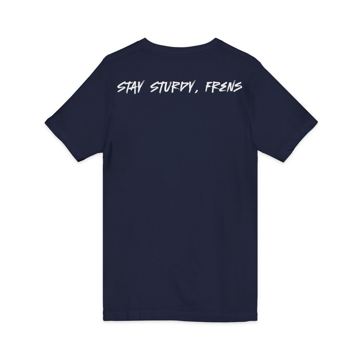 Stay Sturdy, Frens Crest V-Neck Tee
