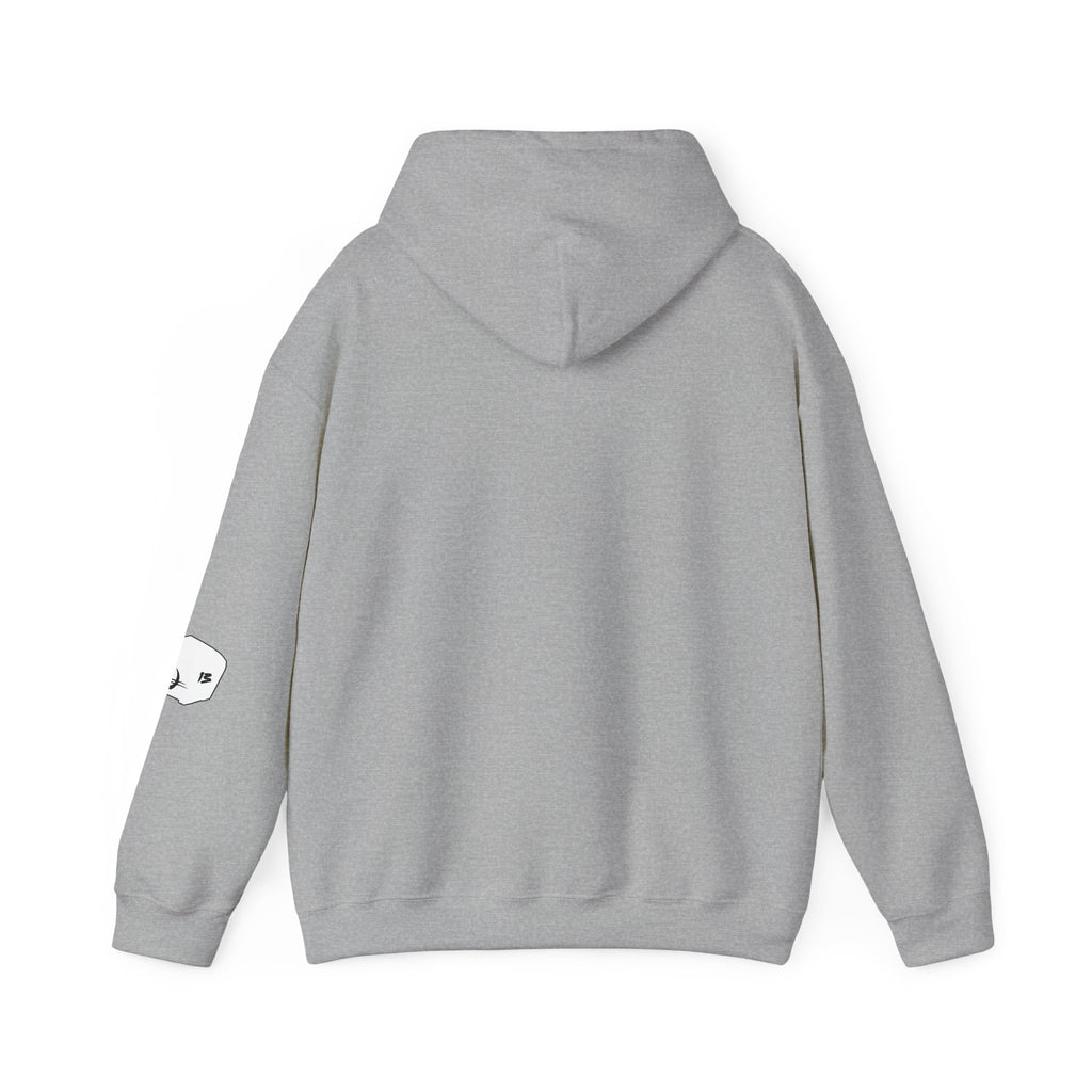 I Survived Loot Box 13 Hoodie