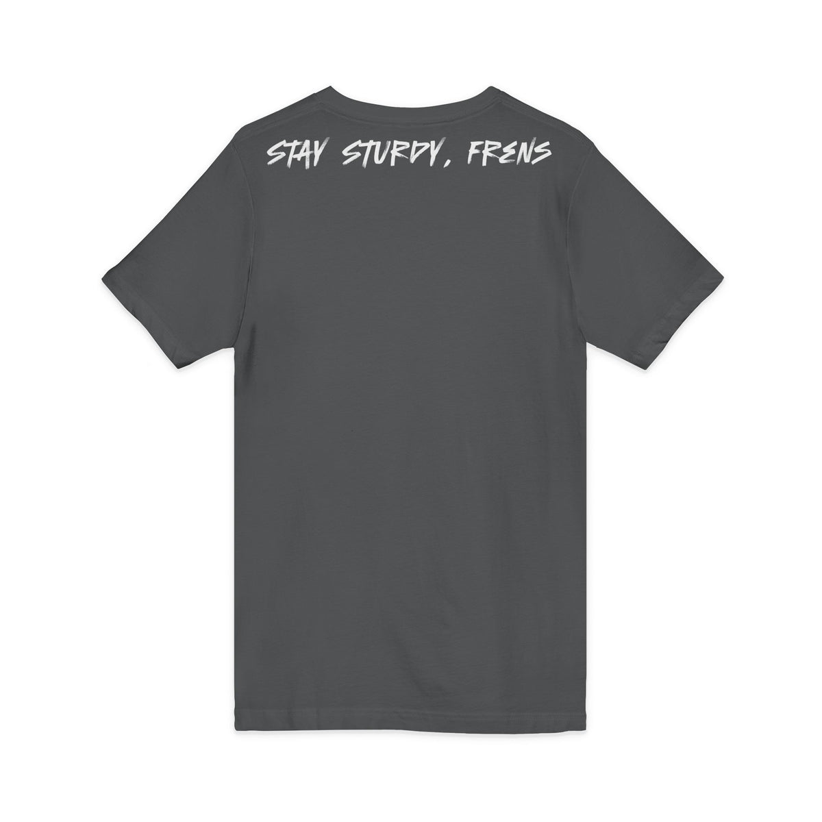 Stay Sturdy, Frens Crest V-Neck Tee