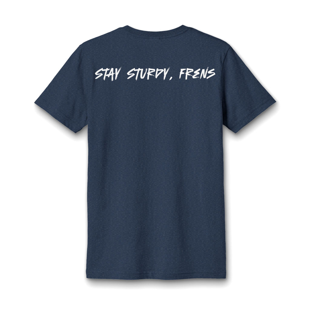 Stay Sturdy, Frens Crest Heather V-Neck Tee