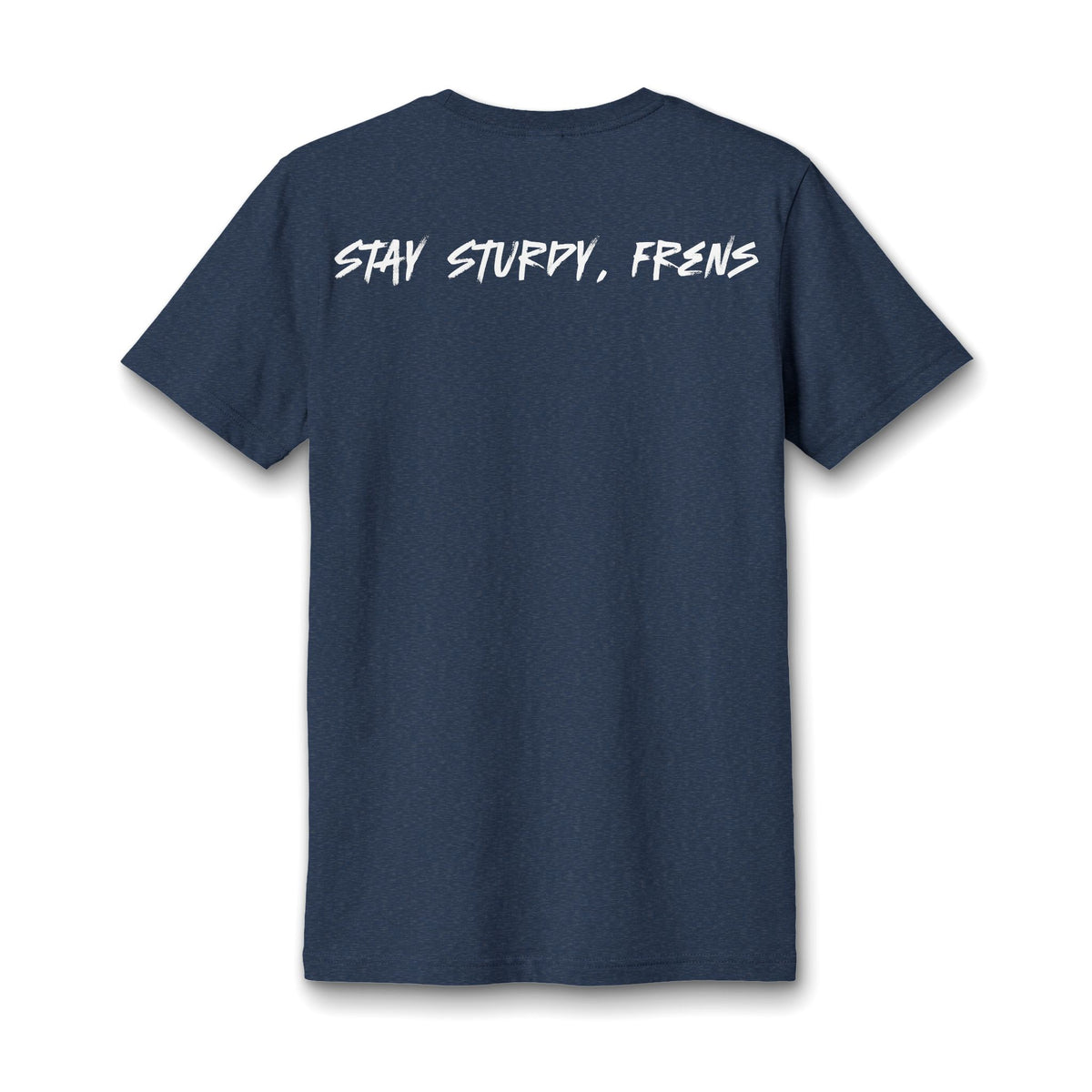 Stay Sturdy, Frens Crest Heather V-Neck Tee