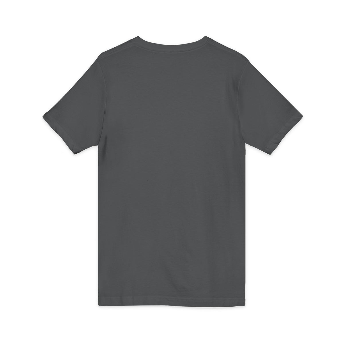 I Like My Ship Captains Morally Grey V-Neck Tee
