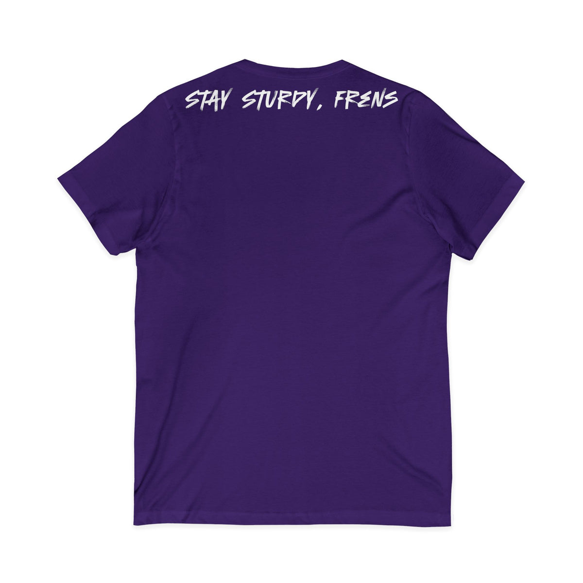 Stay Sturdy, Frens Crest V-Neck Tee