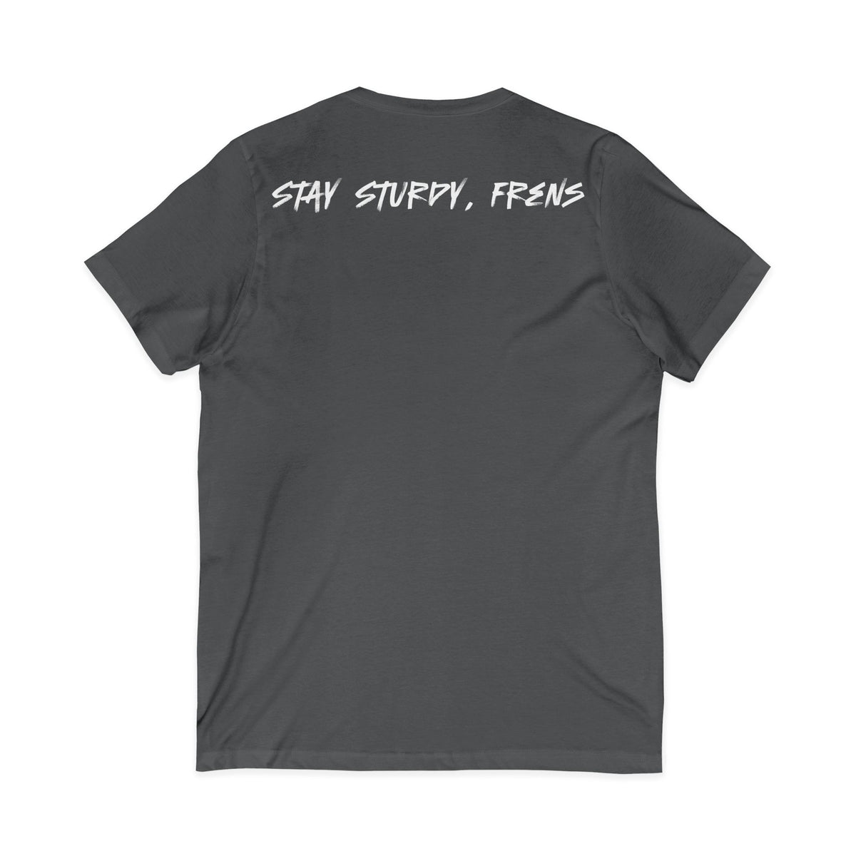 Stay Sturdy, Frens Crest V-Neck Tee