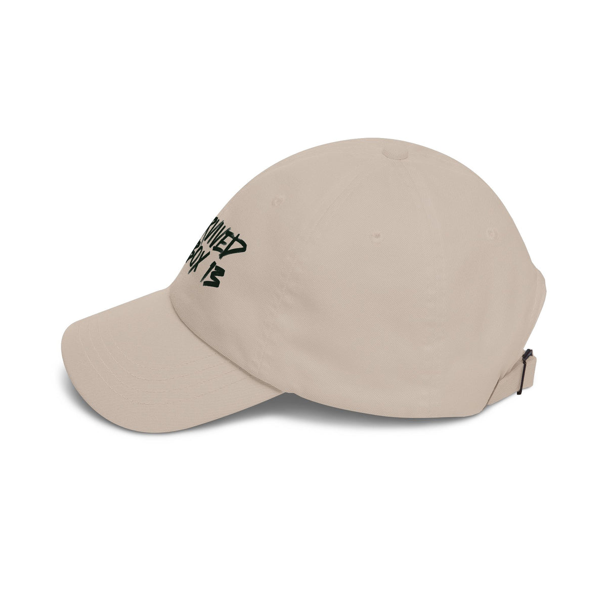 I Survived Loot Box 13 Dad Hat